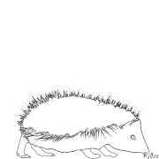 hedgehog Maimprinta Nga Mga Panid Sa Kolor